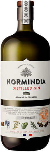 Picture of Normindia Gin